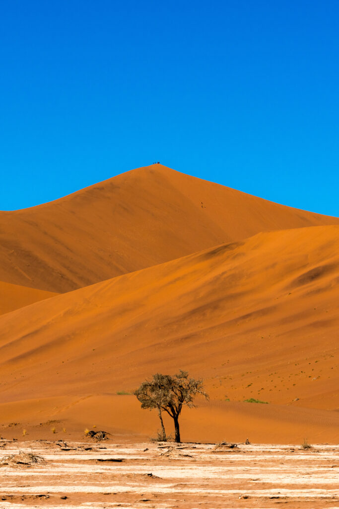 Über die Namib-Küstenwüste